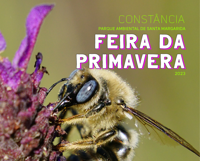 Img Site Feira Primavera 2023