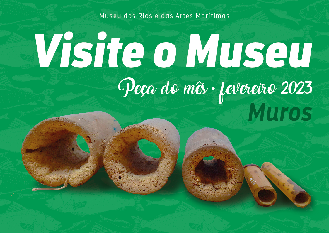 Img Site Peca Mes Fevereiro 2023 -Museu