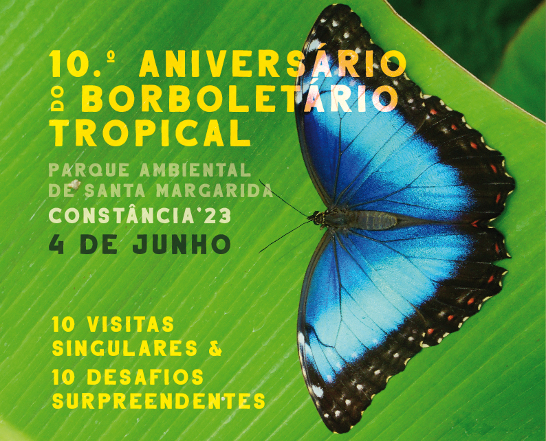 Img site Aniversario Borboletario 2023