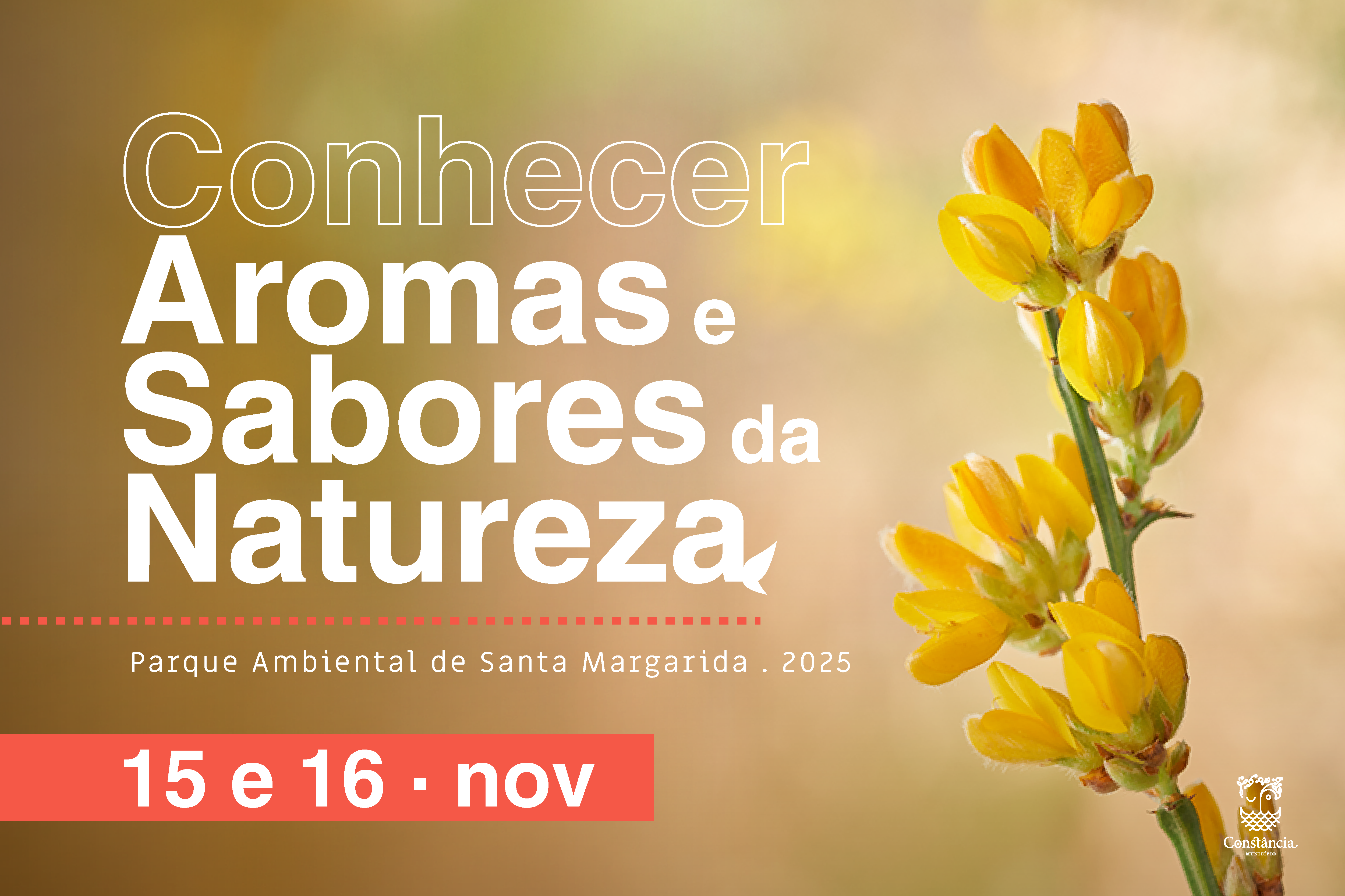 Conhecer Aromas e Sabores de Natureza no Parque Ambiental de Santa Margarida