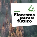 Img Florestas Futuro