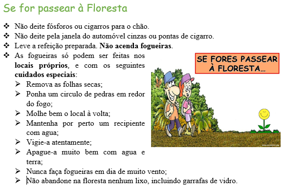 Se for passear à Floresta