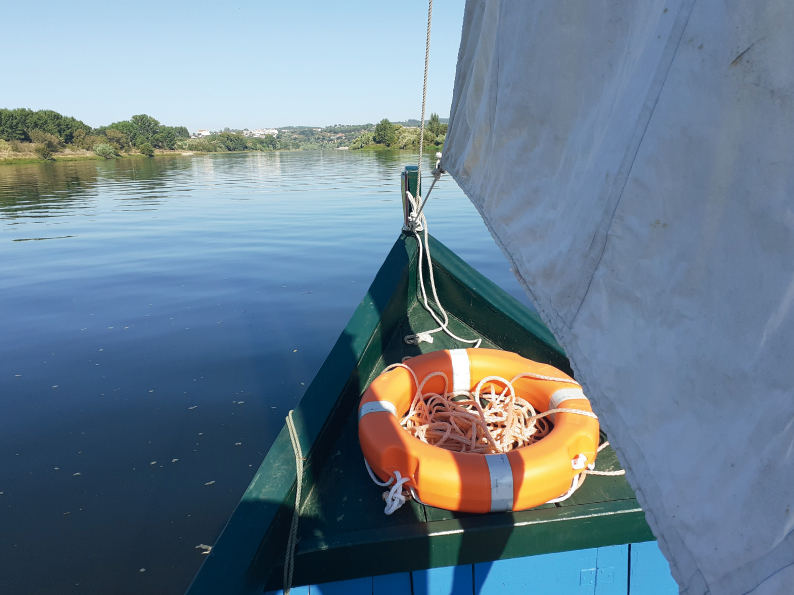 NAVEGAR NO BORDA RIO 2, 5, 9, 13 e 16 de julho – Inscreva-se!